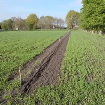 Keine Fotobeschreibung verfügbar.