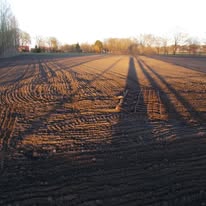 Ist möglicherweise ein Bild von Natur