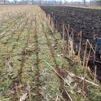 Ist möglicherweise ein Bild von außen