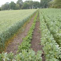 Keine Fotobeschreibung verfügbar.