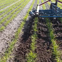 Keine Fotobeschreibung verfügbar.