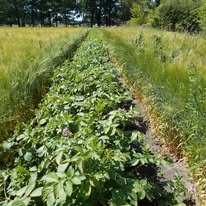 Keine Fotobeschreibung verfügbar.