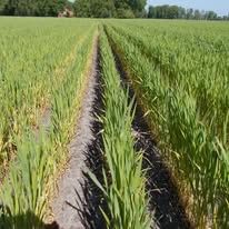 Keine Fotobeschreibung verfügbar.