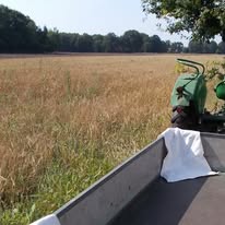 Keine Fotobeschreibung verfügbar.