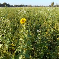 Keine Fotobeschreibung verfügbar.
