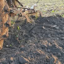 Keine Fotobeschreibung verfügbar.