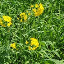 Keine Fotobeschreibung verfügbar.