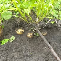 Keine Fotobeschreibung verfügbar.