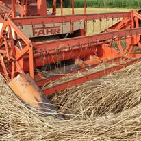 Keine Fotobeschreibung verfügbar.